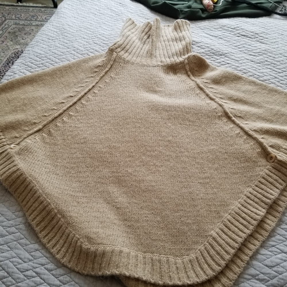 Twins Turtle Pancho